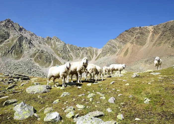 Будинок відпочинку Willi By Interhome *