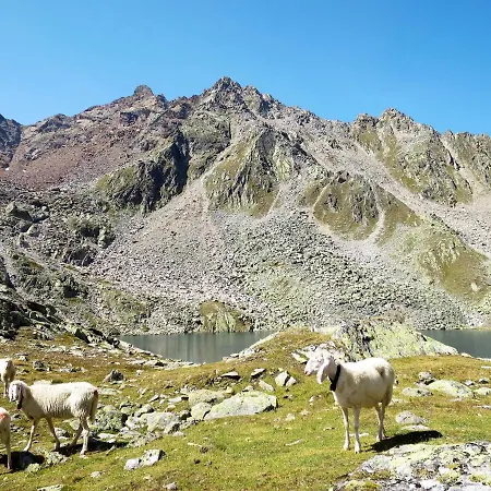 Willi By Interhome 度假居